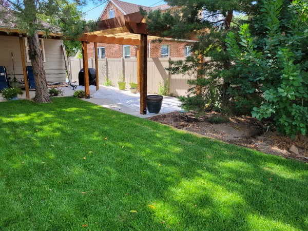 Timber pergola and paved sitting area in mature green yard.